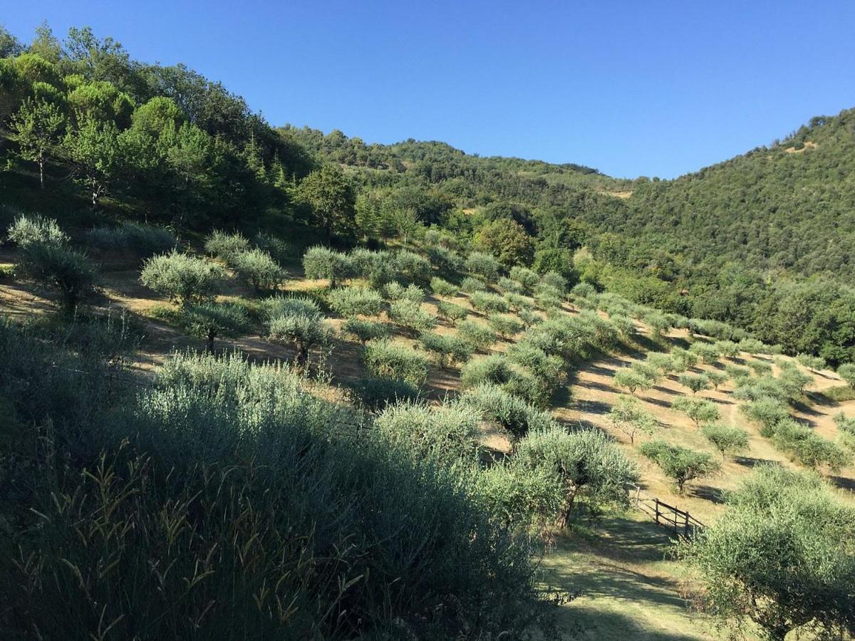 Agriturismo La Fonte Перуджа Экстерьер фото