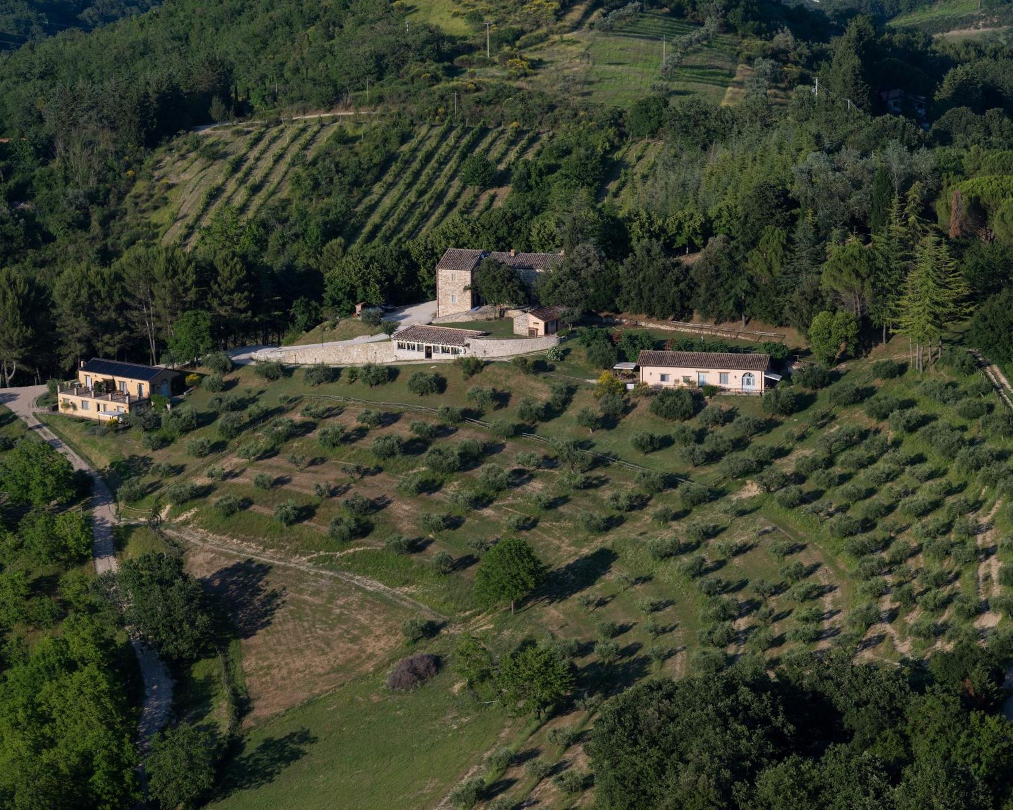Agriturismo La Fonte Перуджа Экстерьер фото